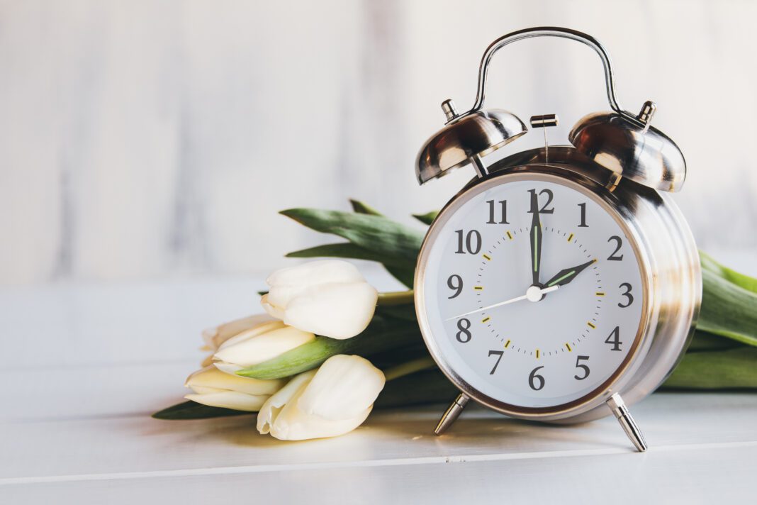 White Tulips and Daylight Savings Time Concept