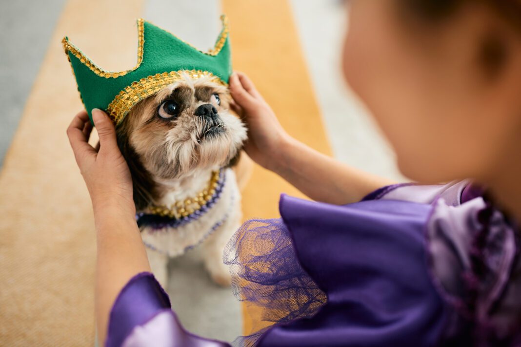He will be the king of the Mardi Gras carnival!