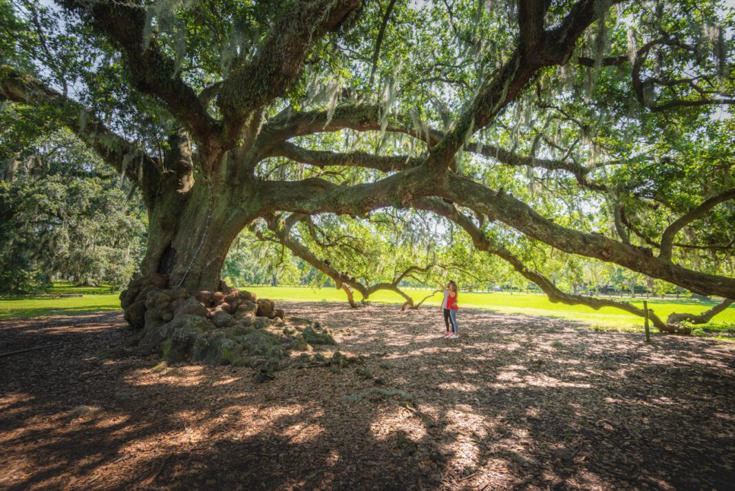 Audubon Park