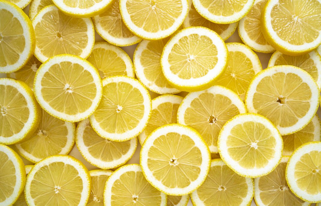 Lemon fruit slices arrangement in a row full frame background