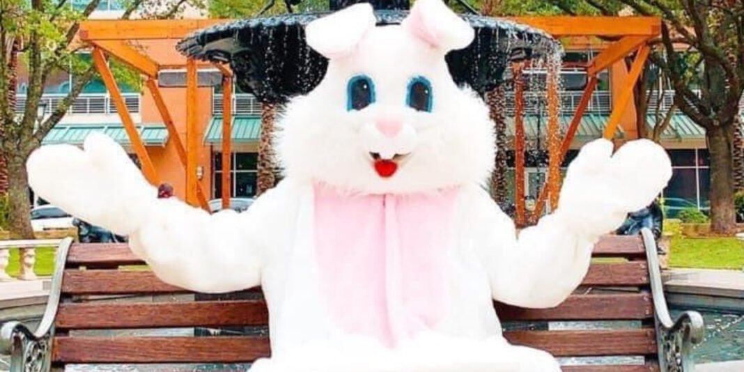Bunny at the Rowe