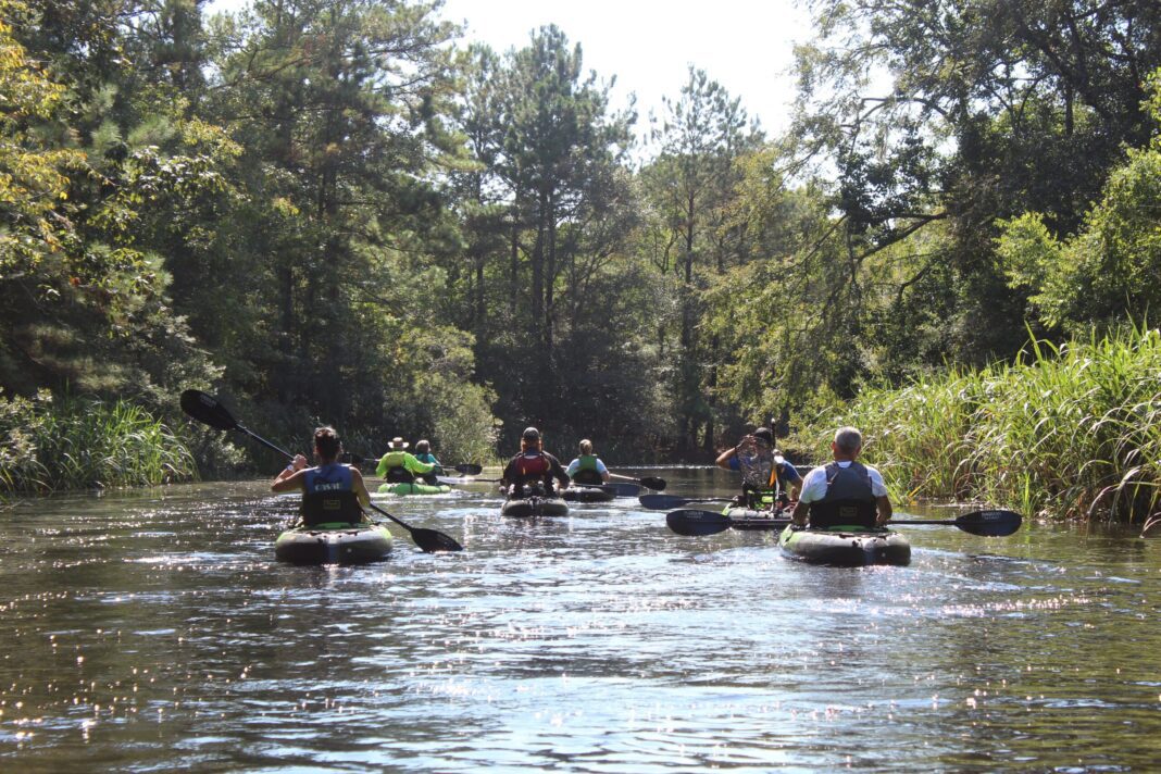 Cane-Bayou-Canoe-Trail-scaled