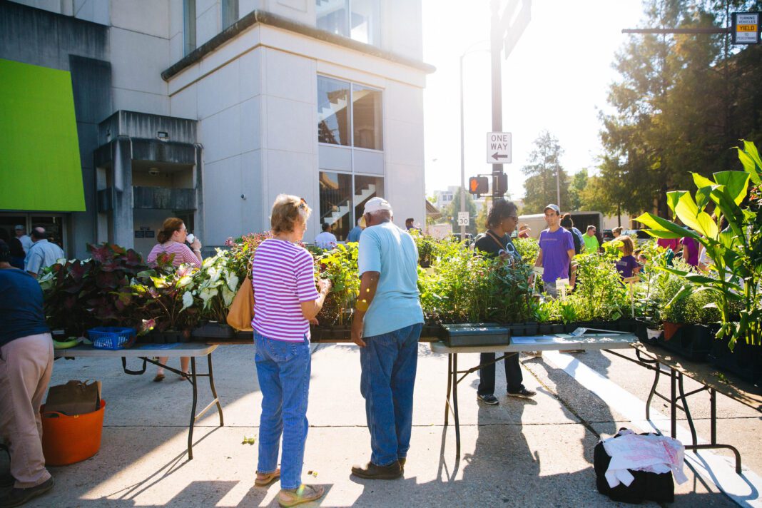 farmersmarket-1-15